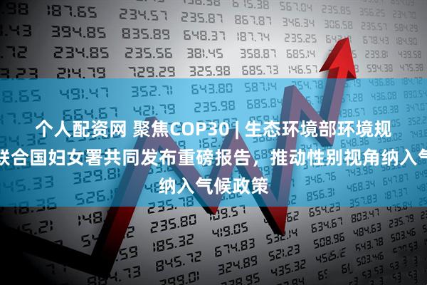 个人配资网 聚焦COP30 | 生态环境部环境规划院与联合国妇女署共同发布重磅报告，推动性别视角纳入气候政策